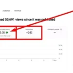#youtube-seo #seo #imitbd #Project